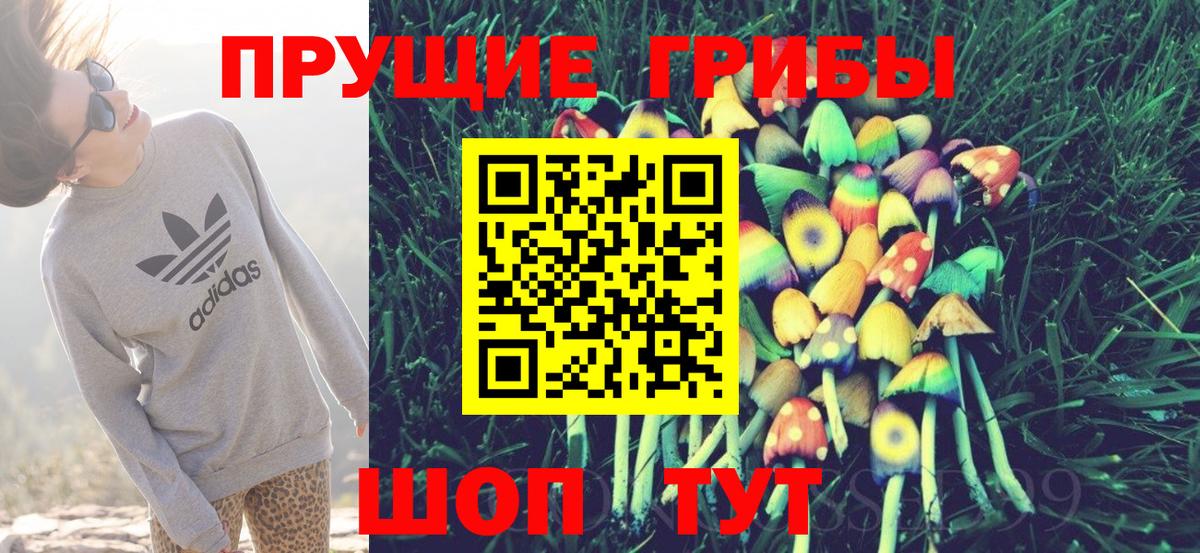 Псилоцибиновые грибы мухоморы Лабытнанги
