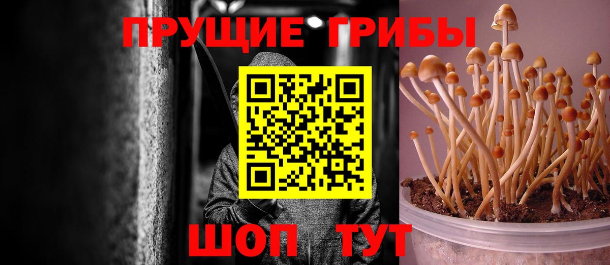 Псилоцибиновые грибы GOLDEN TEACHER  Вход с VPN  Лабытнанги  Галлюциногенные грибы Cubensis 